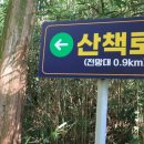 행복한숲 Happy forest 이미지