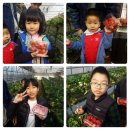 한양대 왕호 태권도장 이미지