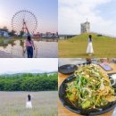 골프촌 | 충남 당진 가볼만한곳 1박 2일 코스 총정리 (아그로랜드 수레국화 + 신리성지+ 삽교호 + 맛집)