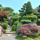 대가꽃게장 이미지