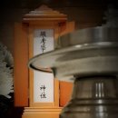 코리아병원 이미지