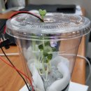 노코딩 팜 이미지