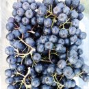 부경농장 이미지