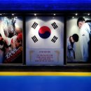 정문태권도 이미지