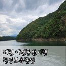 [제천 애견동반여행] 충주호관광선 청풍호유람선 : 애견동반 후기