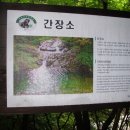 뱀사골산장 이미지