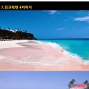 신기해변 이미지