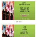 큰꽃 제작소