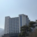 강원특별자치도 정선군 북평면 행정복지센터 | [임산부 태교여행] 정선 파크로쉬 숙암스위트 연박 후기(조식 포함)