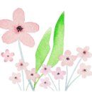 모디돌 이미지