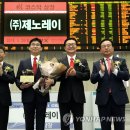 ㈜제노레이 이미지