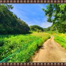 산천초목민박 이미지