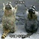 햇살좋은아침 이미지