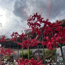 선암동주민센터 이미지