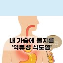 바디짐 이미지