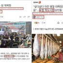 죽도시장 이미지