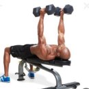 휘트니스오름 모충점 이미지