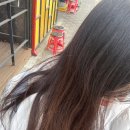 213헤어룸