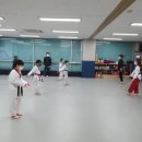 홀리드림태권도 네이버블로그
