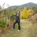 대풍농장 이미지