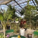 한원리경로당 | 제주시에 위치한 퀄리티 높은 디저트와 인테리어가 너무 예쁜 제주 대형식물 카페 '웨스트 그라운드' 후기