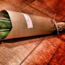 밍카센타 이미지