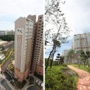 채운코아루@ 이미지