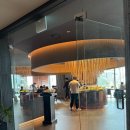 샤브하우스 | 잠실 맛집 모던샤브하우스 잠실점 후기