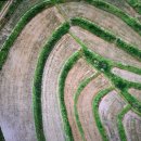 논두렁길 콩서리 | 아버지와 논두렁