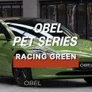 강남랩핑 테슬라 랩핑 OBEL RACING GREEN 레이싱 그린 후기