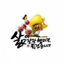 캘리커피