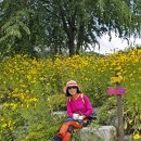 고개너머 동향길 이미지