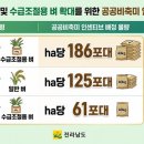쌀콩쌀콩