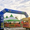 (안성) 가볼만한곳 2025년 안성맞춤포도축제 9월 26~9월 28일