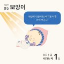 보람병원 산후조리원 이미지