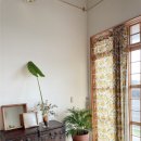 배목수집 이미지