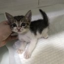 바람모퉁이어린이공원 이미지