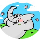 부산국제외국인학교 | 경남사천 국제 외국인학교 홍보영상 촬영후기