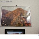 고호대박 이미지