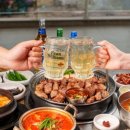 바다를 품은 돼지 이미지