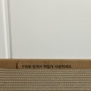 바다냥이네 이미지