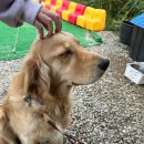 물만난 하우스 이미지