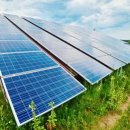 젤루느린달팽이 이미지