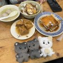 소룡체육관 | 아이 돌보러 대만 간 썰푼다 : 엔하이픈 Fate in Taipei 콘서트