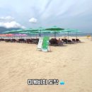 D00427 네이버블로그