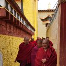 샹그리라 이미지