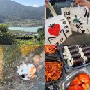 도도충무김밥 | [2025-11월의 일상] 미안할 거 없는데 심호흡 한 번 해