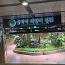 토탈미술관 | 인사동 경인미술관 한국토탈아트 협회 전시 후기