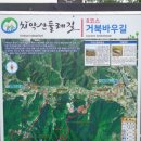 치악산 둘레길8코스(거북바우길) 21년7월11일 용소막성당ㅡ석동종점ㆍ11ㆍ4km 보통 이미지