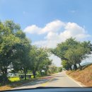 돗가비 항아리 불쭈꾸미 이미지